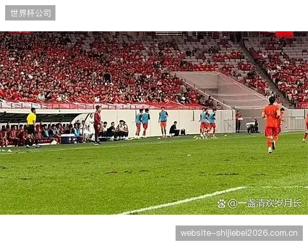 为达到国际足联决赛标准，决赛场地于五月初完成草坪更换，确保比赛质量。